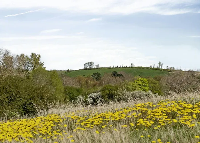 Architect-designed Dream In Ebbelokke Semesterbostad Nykøbing Sjælland